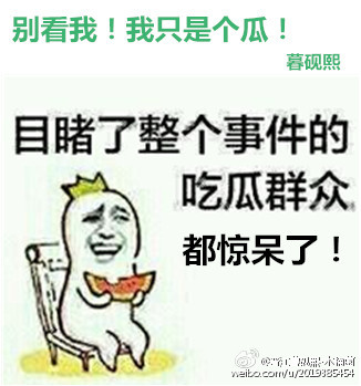 别看我!我只是个瓜!