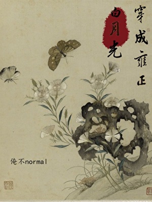 穿成雍正白月光