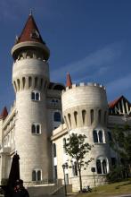 冰雪诗者文集