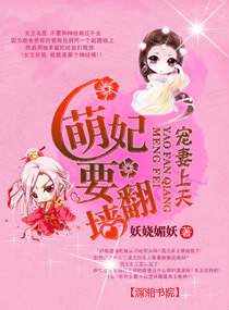 宠妻上天,萌妃要翻墙