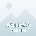 透视金瞳
