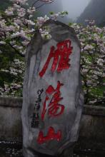 冰炭同炉文集
