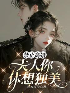 禁止离婚,夫人你休想独美